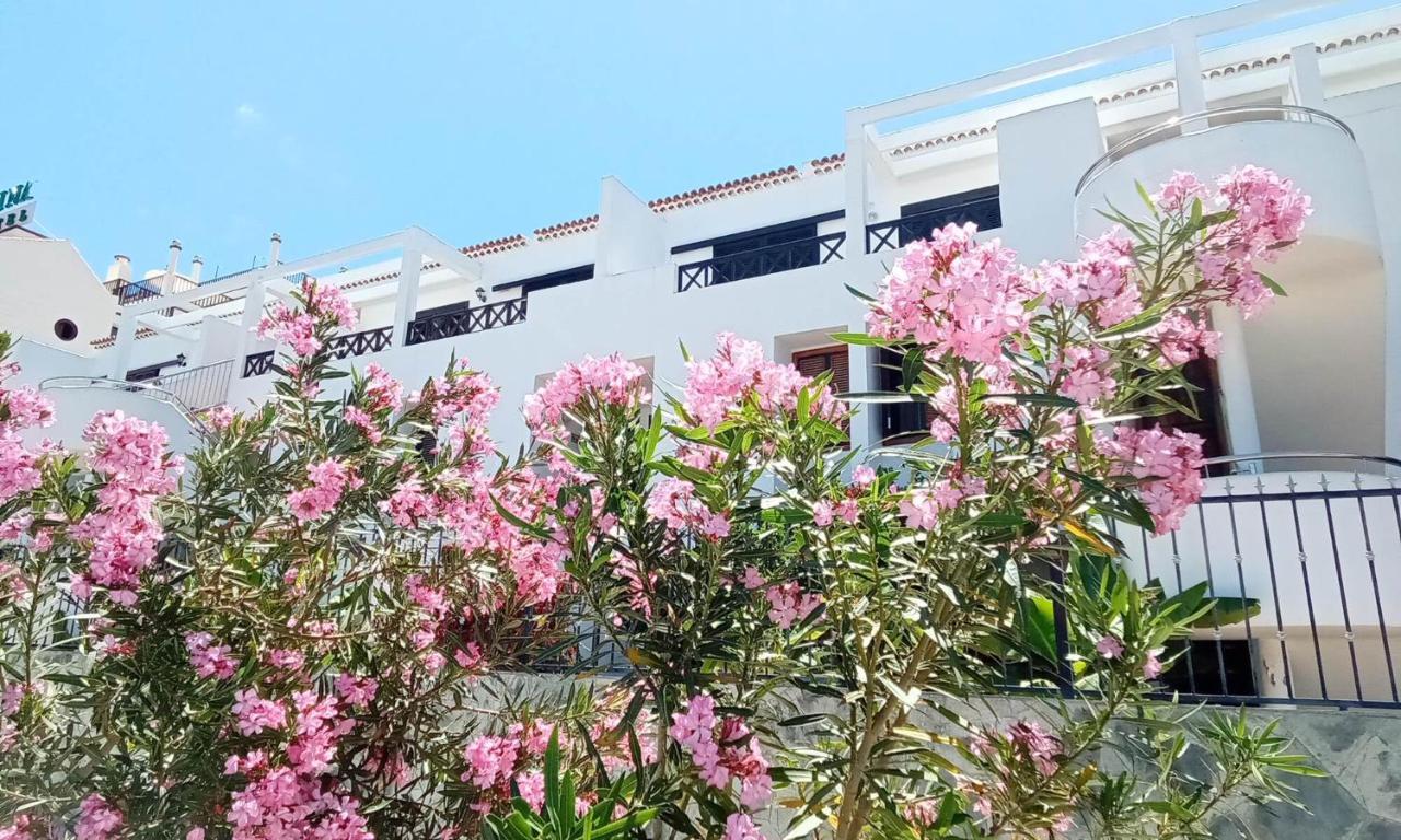 לוס כריסטיאנוס Under The Lime, Beautiful Apartment Los Cristianos מראה חיצוני תמונה